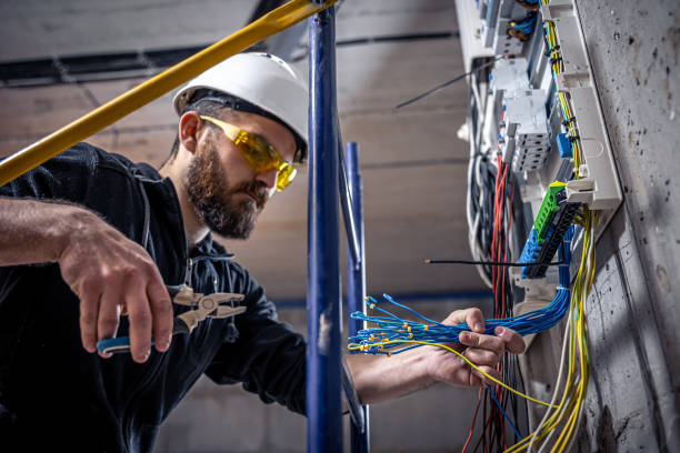 Best Electrician for Home Renovation  in Mount Olive, MS