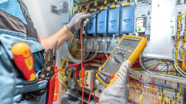 Best Electric Panel Repair  in Mount Olive, MS